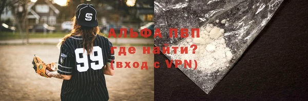 Альфа ПВП Новозыбков