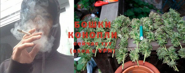 Альфа ПВП Новозыбков