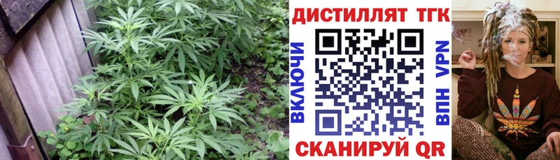 что такое   Фурманов  Дистиллят ТГК жижа 