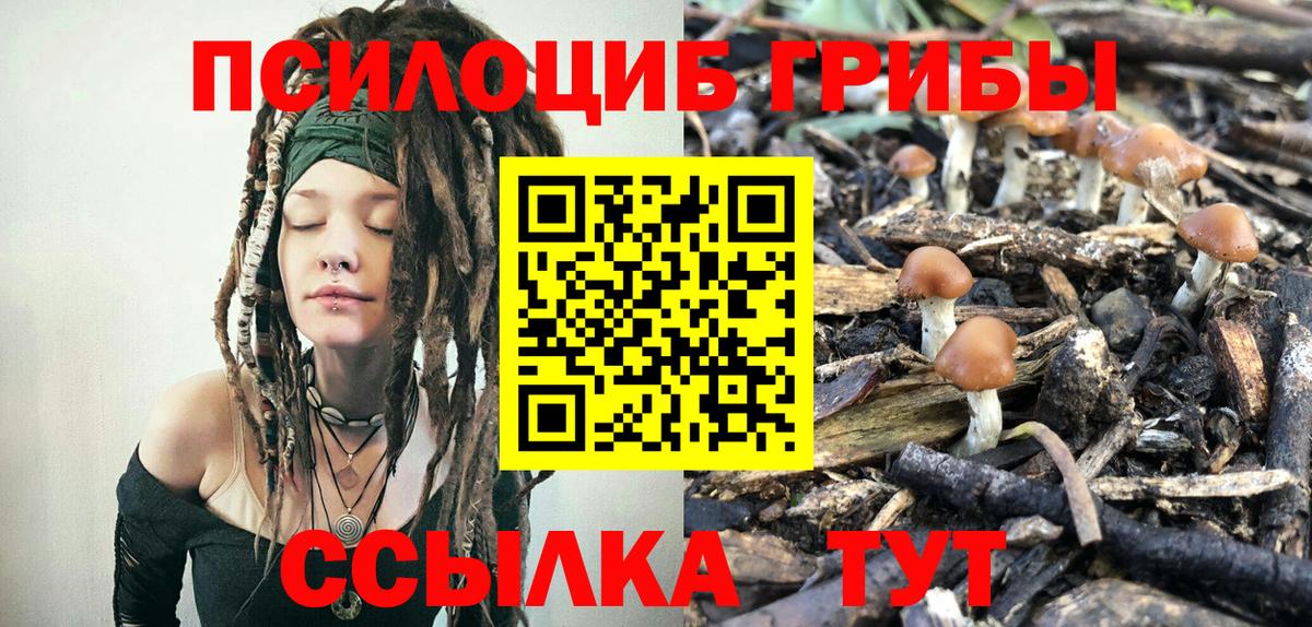 Галлюциногенные грибы прущие грибы Фурманов