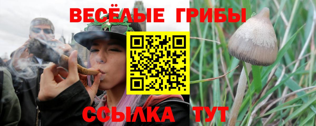 Фурманов  Псилоцибиновые грибы Magic Shrooms  Вход с VPN 